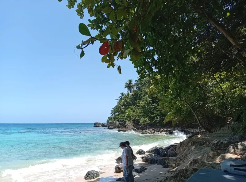 Playa Grande, Cabrera Cliff Jump & Gri Gri Lagoon (lunch included) 3