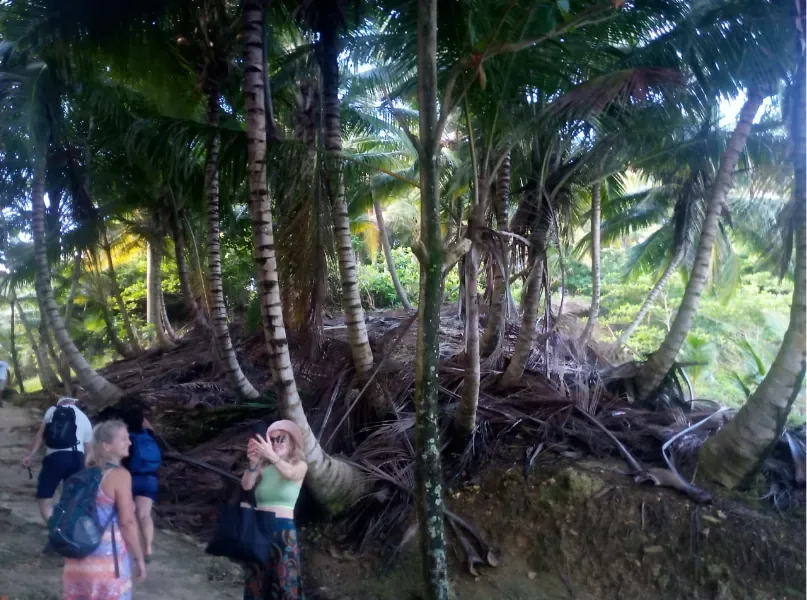 Playa Grande, Cabrera Cliff Jump & Gri Gri Lagoon (lunch included) 5