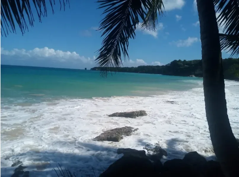 Playa Grande, Cabrera Cliff Jump & Gri Gri Lagoon (lunch included) 6