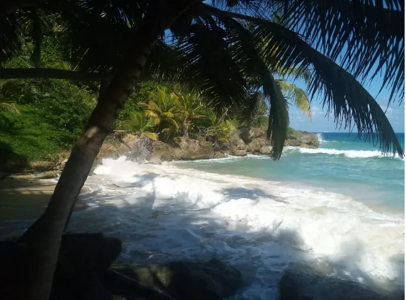 Playa Grande, Cabrera Cliff Jump & Gri Gri Lagoon (lunch included) 9