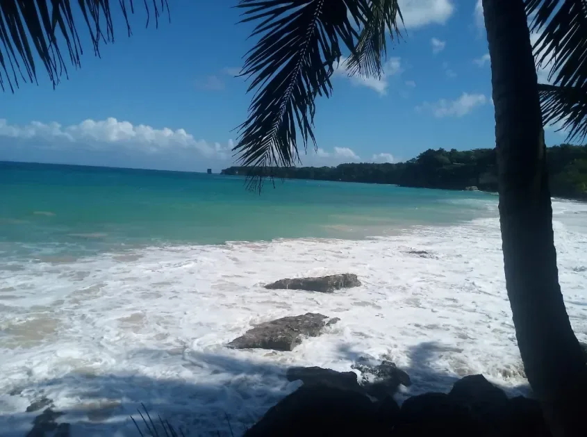 Playa Grande, Cabrera Cliff Jump & Gri Gri Lagoon (lunch included) 12